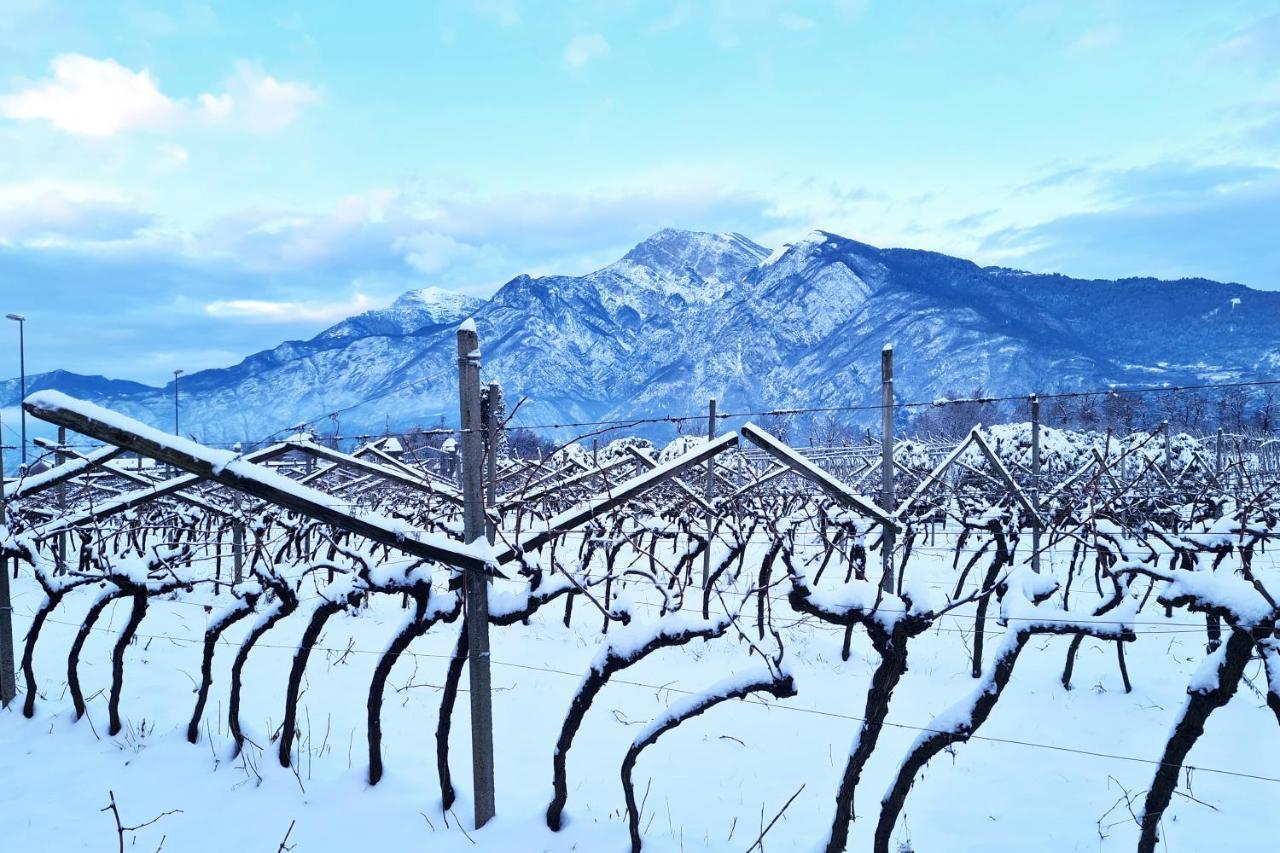Agritur Ponte Alto Villa Trento Ngoại thất bức ảnh