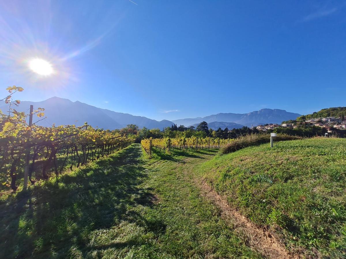 Agritur Ponte Alto Villa Trento Ngoại thất bức ảnh