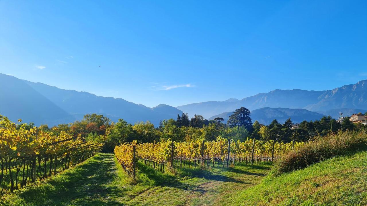 Agritur Ponte Alto Villa Trento Ngoại thất bức ảnh
